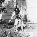 fay_viosca_pics_117 (1659 visits) Fay Visoca tending a garden. fay_viosca_pics_117