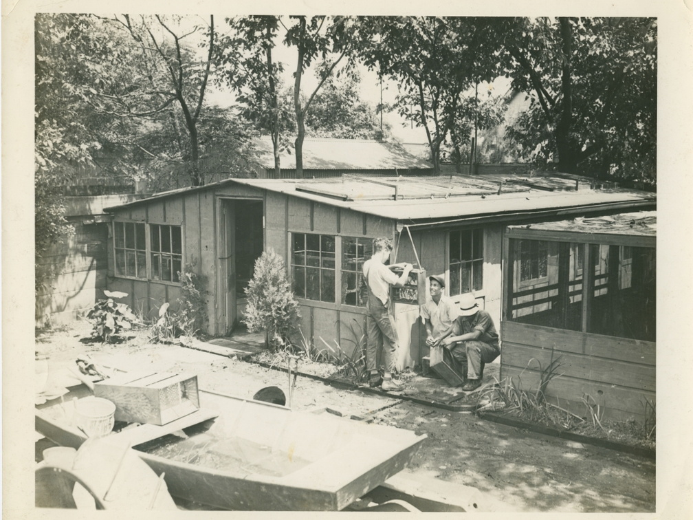 HarryViosca_002 (1590 visits) On back: Louisiana Reptile Farm Shed No. 1 HarryViosca_002