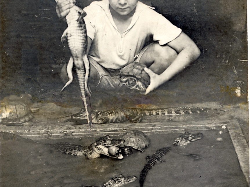 HarryViosca_009 (1654 visits) Joachim Harrison HARRY Lorimer Viosca Jr playing with alligators. HarryViosca_009