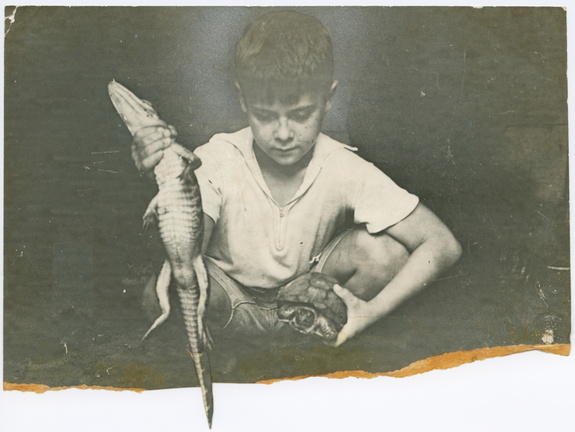 HarryViosca_009top (1551 visits) Joachim Harrison HARRY Lorimer Viosca Jr playing with alligators. HarryViosca_009top