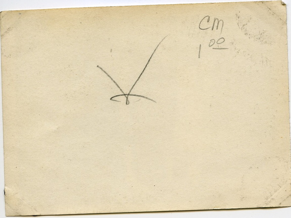 Kasparek Lot 5 1920s 023b