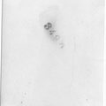 Kasparek Lot 6 1930s 012b (1980 visits) Kasparek Lot 6 1930s 012b