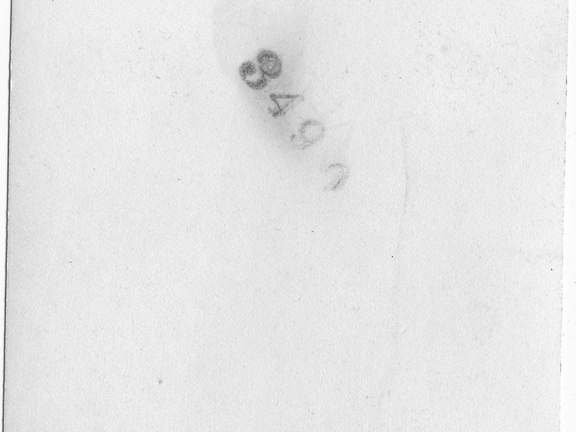 Kasparek Lot 6 1930s 012b (1980 visits) Kasparek Lot 6 1930s 012b