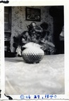 Kasparek Lot 7 1940s 005