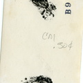 Kasparek Lot 7 1940s 017b (2126 visits) Kasparek Lot 7 1940s 017b