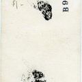 Kasparek Lot 7 1940s 027b (2092 visits) Kasparek Lot 7 1940s 027b