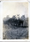 Kasparek Lot 8 Farm 005