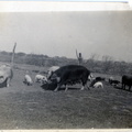 Kasparek Lot 8 Farm 006