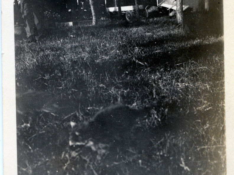 Kasparek Lot 9 Folks 1900-1949 051 (3090 visits) Kasparek Lot 9 Folks 1900-1949 051