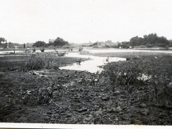 Kasparek Lot 9 Folks 1900-1949 059