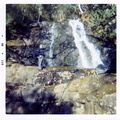 VicDeanneWedding_014