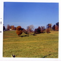 VicDeanneWedding_022