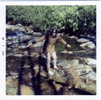 VicDeanneWedding_039 -- Victor and Deanne Viosca, 1969, Wedding and Honeymoon.