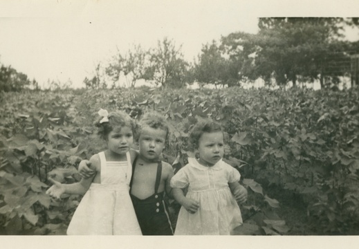 VicVioscaAlbum_070 (1514 visits) Victor Willard Viosca Jr.
On back: Vic Viosca - 3 years old.
With friends on Gulf Coast VicVioscaAlbum_070