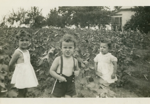 VicVioscaAlbum_071 (1455 visits) Victor Willard Viosca Jr.
On back: Vic Viosca - 3 years old.
With friends on Gulf Coast VicVioscaAlbum_071