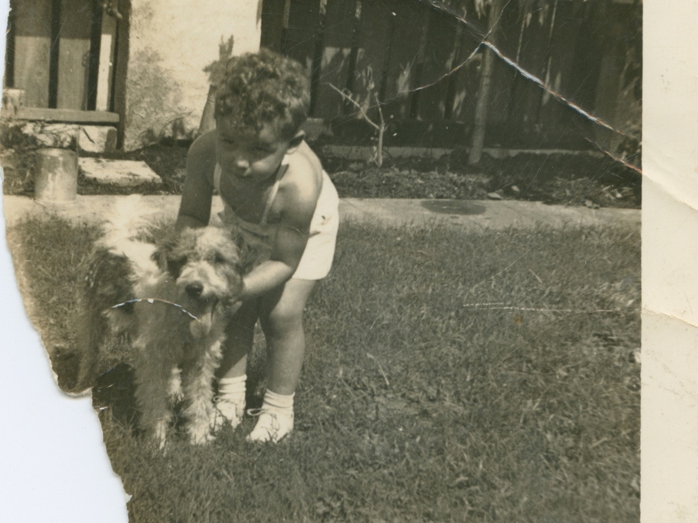 VicVioscaAlbum_074 (1571 visits) On back: Victor Willard Vioscaa Jr. with his dog "Rags" in yard - 5762 Catina St. 3 years old. VicVioscaAlbum_074