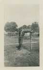VicVioscaAlbum_098 -- Victor Willard Viosca Jr., Cub Scouts, Roll(324)