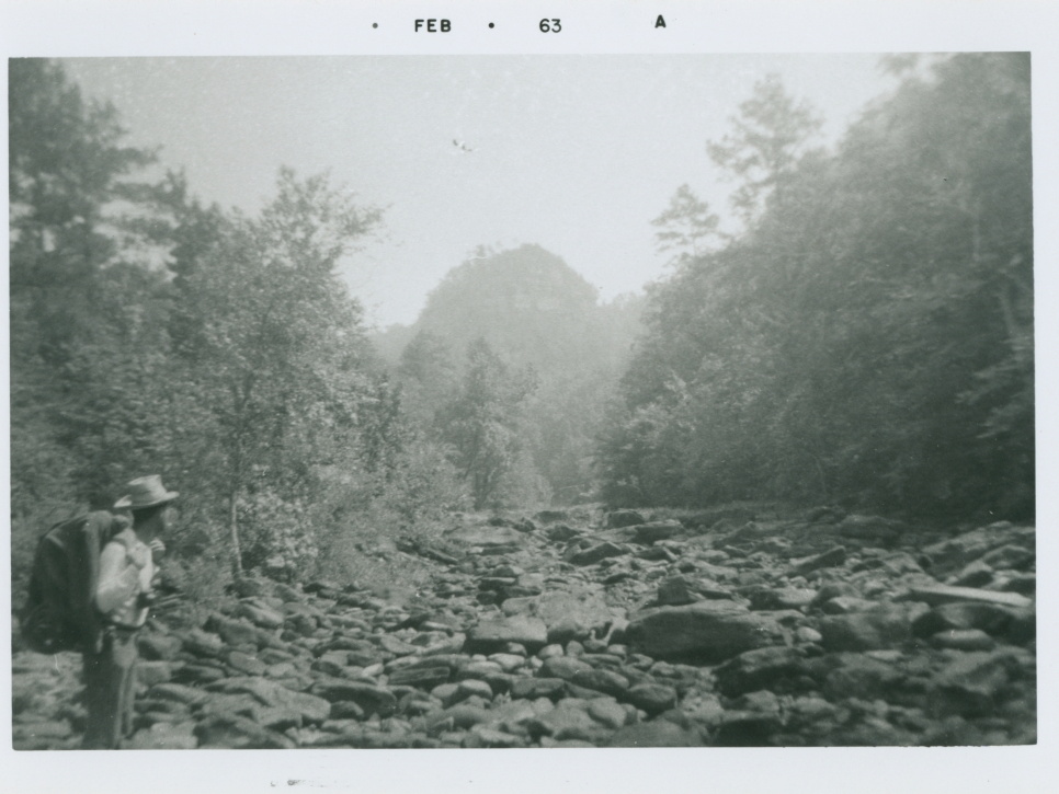VicVioscaAlbum_132 (2462 visits) Victor Willard Viosca Jr. Scouts.
Border: FEB - 1963 VicVioscaAlbum_132