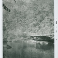VicVioscaAlbum_134