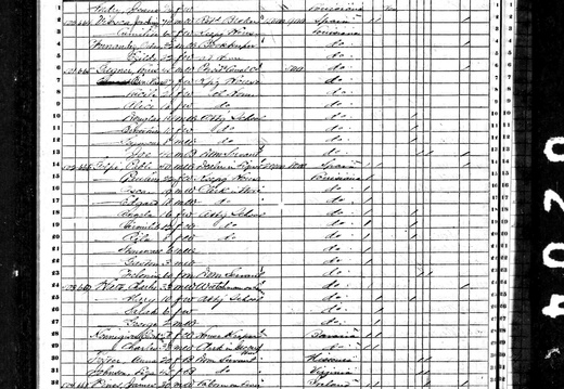 JoachimVioscaSr1870Census