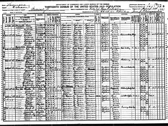 PPercyVioscaSr1910Census