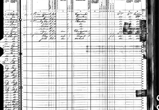 PhilomineViosca 880Census