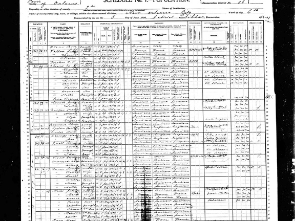 RaymondViosca1900Census