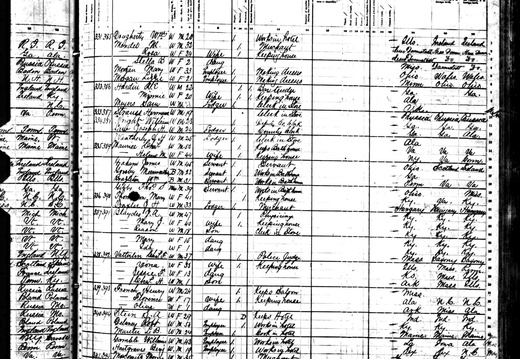 1880Census AR GC BlaydesJA