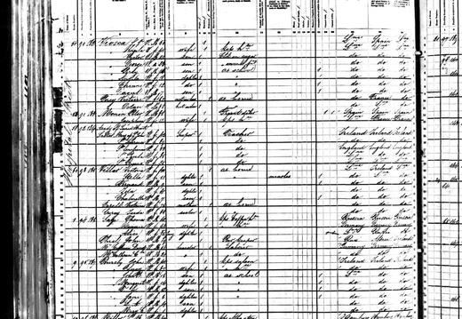 1880Census LA NO VioscaJFPercyV