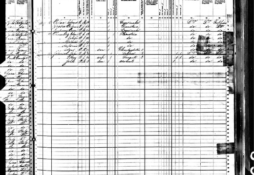 1880Census LA NO VioscaPhilomine