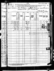 1880Census LA NO VioscaPhilomine