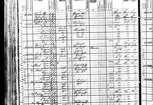 1880Census LA NO VioscaRamon