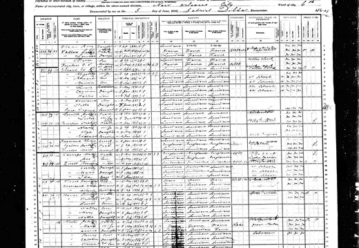 1900Census LA NO VioscaRaymond