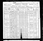 1900Census LA NO VioscaRaymond