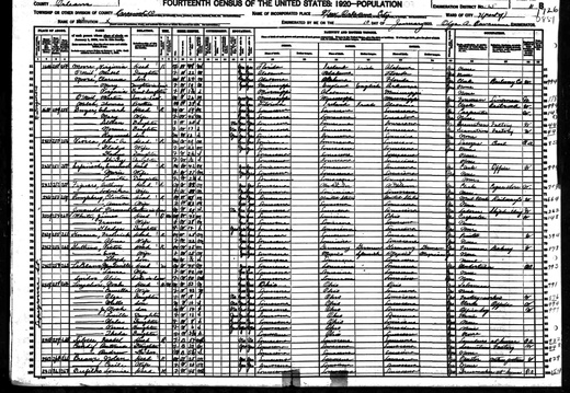 1920FedCensus LA NO VioscaRene