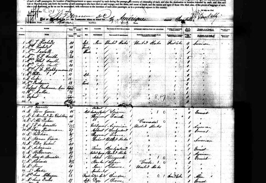 RamonViosca1882ShipManifest