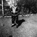 fay_viosca_pics_090 (2085 visits) Randall C Viosca in his WWII flight suit. Picture taken at Ada Place. fay_viosca_pics_090